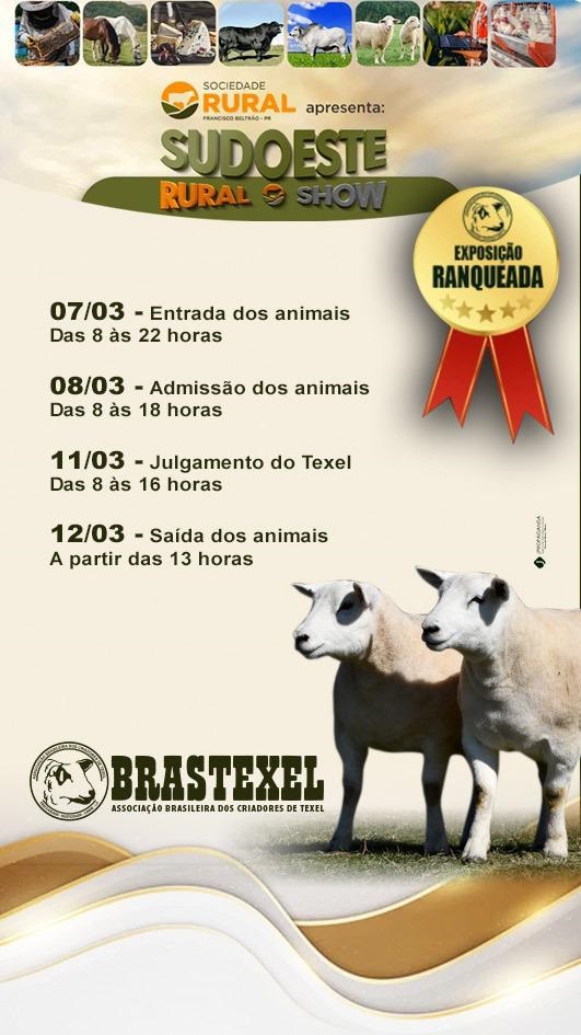 Brastexel 