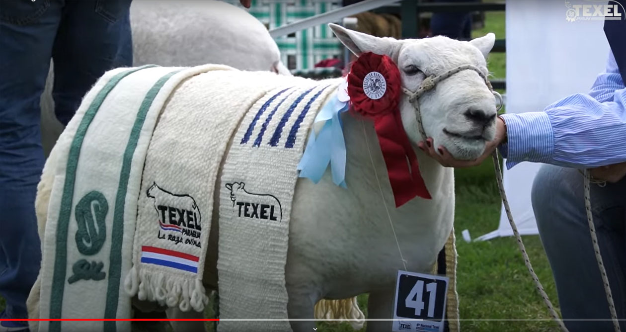 4ª Nacional Texel — Congresso Texel do Mercosul, Expo Melilla