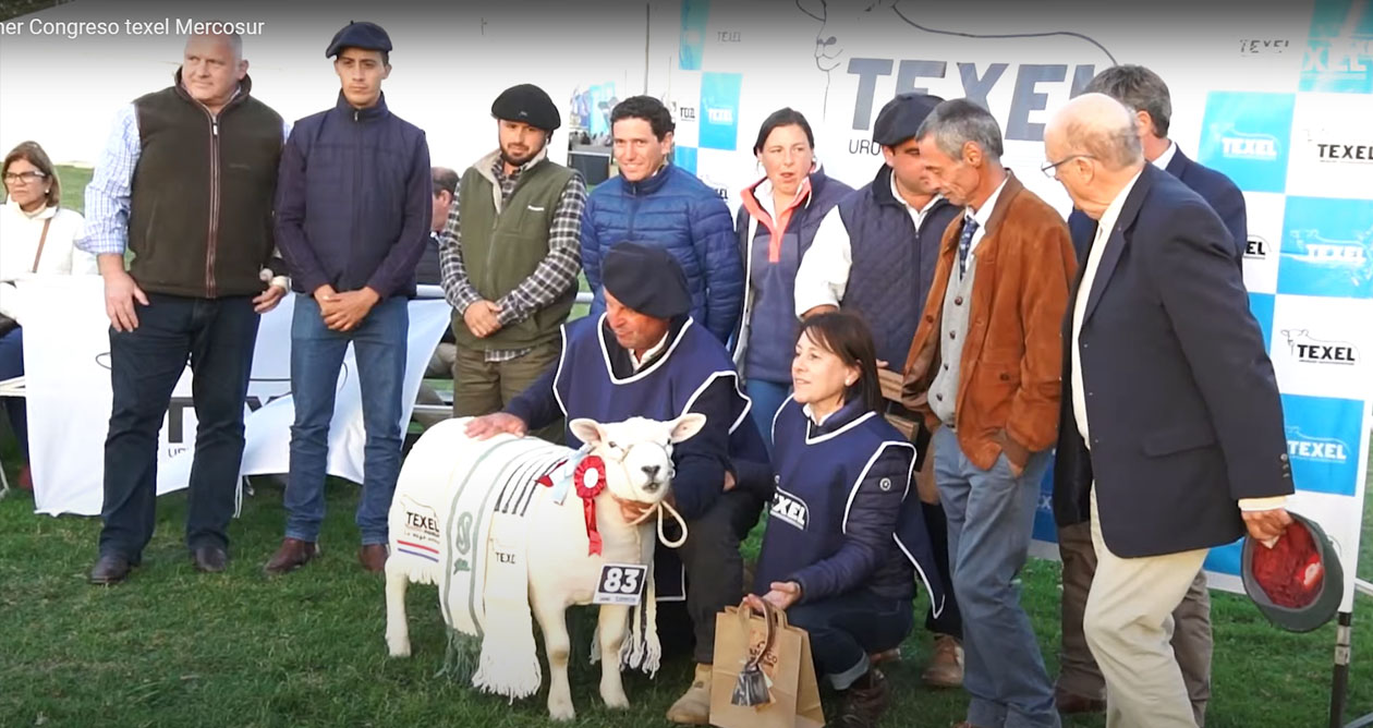 4ª Nacional Texel — Congresso Texel do Mercosul, Expo Melilla