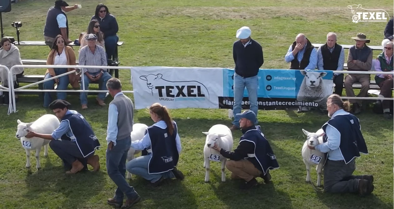 4ª Nacional Texel — Congresso Texel do Mercosul, Expo Melilla