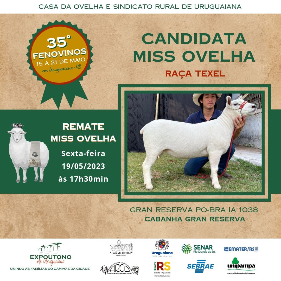 Candidata Miss Ovelha – Raça Texel 35ª FENOVINOS