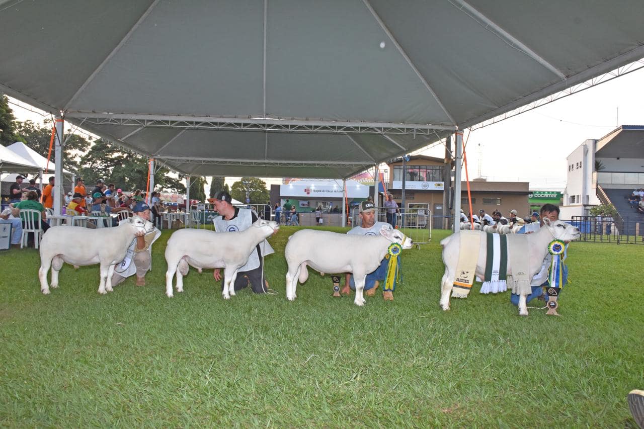 62ª Expolondrina — 2ª etapa do Ranking 2024