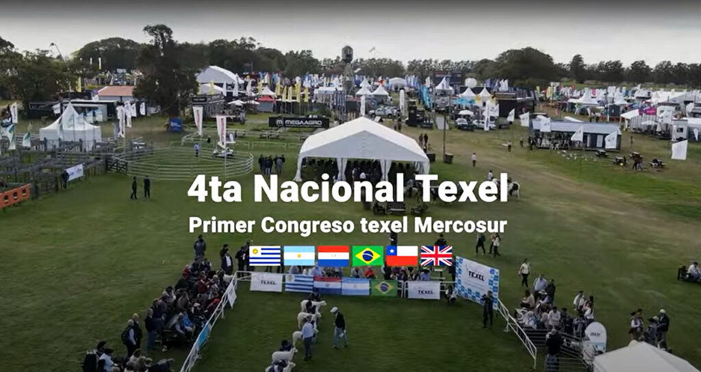 Brastexel - º Congresso Texel Mercosur.