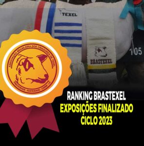 BRASTEXEL - Associação Brasileira de Criadores de Texel