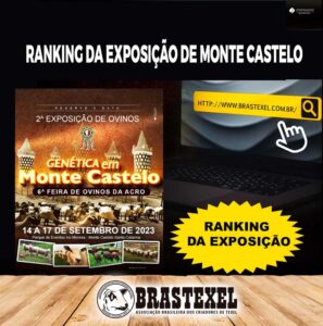 BRASTEXEL - Associação Brasileira de Criadores de Texel