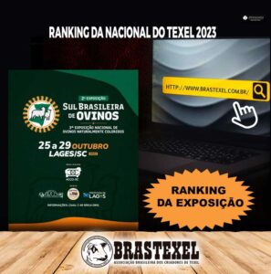 BRASTEXEL - Associação Brasileira de Criadores de Texel