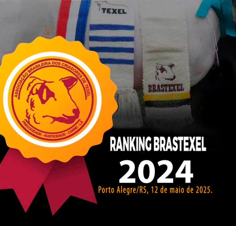 RANKING BRASTEXEL 2024
