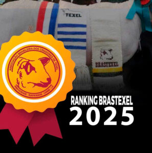 RANKING BRASTEXEL 2025
